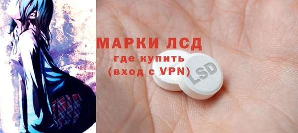 мяу мяу мука Аркадак