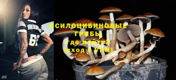 кокс Ельня