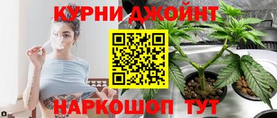 спайс Аргун