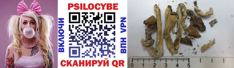 Галлюциногенные грибы Psilocybe  Купить  Белебей 