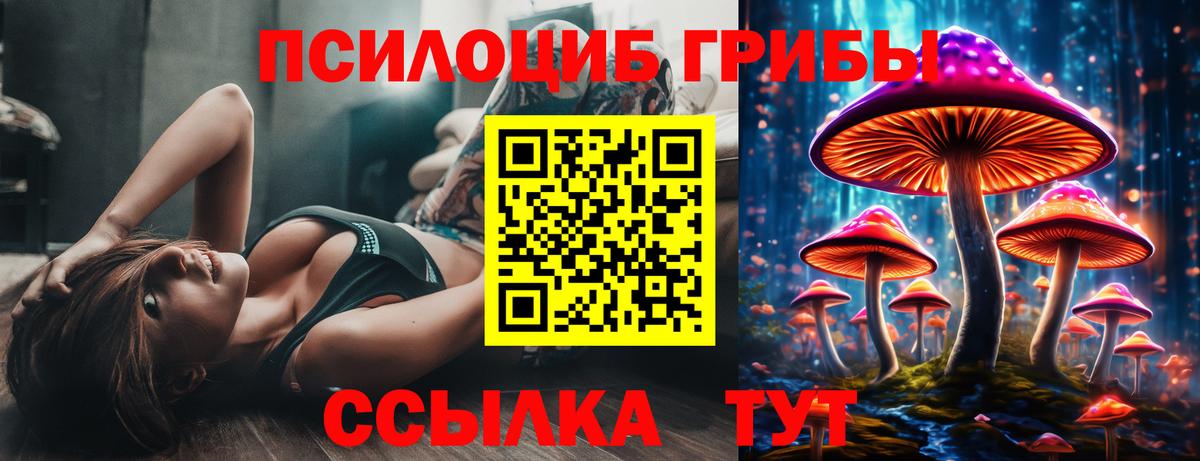 Псилоцибиновые грибы прущие грибы Белебей