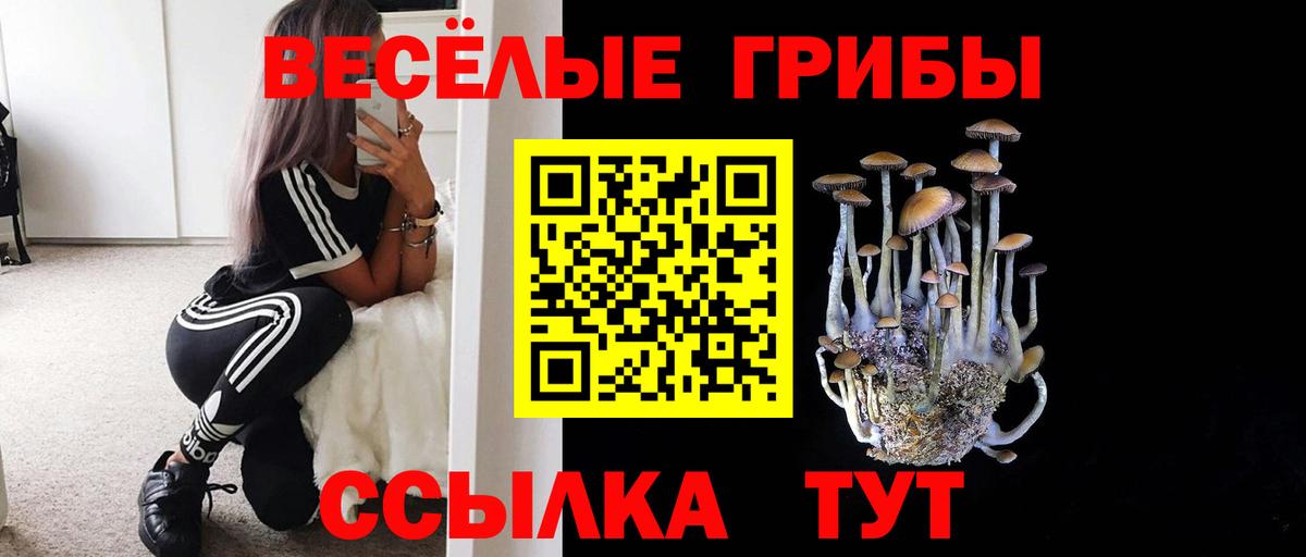 Псилоцибиновые грибы MAGIC MUSHROOMS  Белебей 